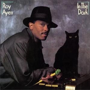Front Cover Album Roy Ayers - In The Dark  | funkytowngrooves records | FTG-297 | US