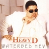 Waterbed Hev