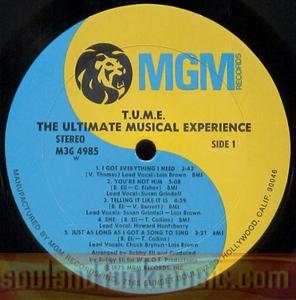 T.u.m.e. - The Ultimate Musical Experience