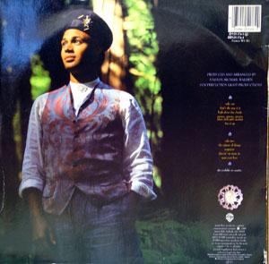 Back Cover Album Narada Michael Walden - The Nature Of Things Back Cover Album Narada Michael Walden - The Nature Of Things