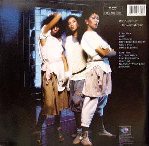 Back Cover Album Pointer Sisters - Break Out