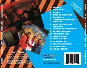Back Cover Album Skool Boyz - Skool Boyz  | funkytowngrooves usa records | HTS 002 | US