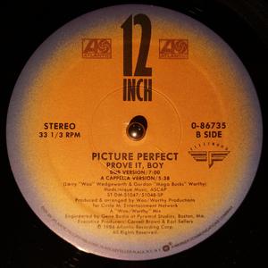 Back Cover Single Picture Perfect - Prove It, Boy