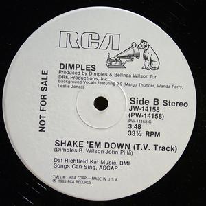 Back Cover Single Fields Richard Dimples - Shake 'Em Down