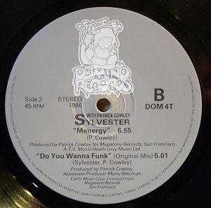 Back Cover Single Sylvester - Do You Wanna Funk (brighton Summer Mix)