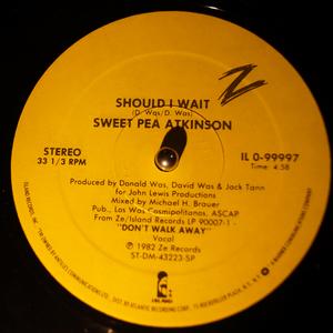 Back Cover Single Sweet Pea Atkinson - Dance Or Die