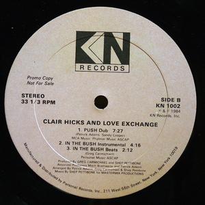 Back Cover Single Clair Hicks And Love Exchange - Push (In The Bush)
