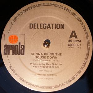 Back Cover Single Delegation - What Took You So Long