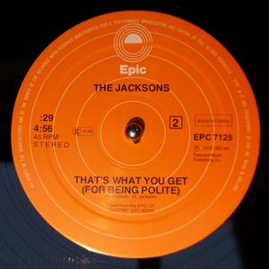 Back Cover Single The Jacksons - Shake Your Body (down To The Ground)
