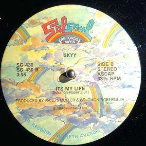 Back Cover Single Skyy - Dancin' To Be Dancin'