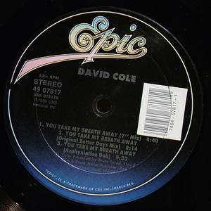 Back Cover Single David Cole - you Take My Breath Away