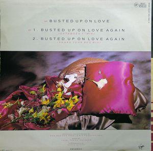 Back Cover Single Fiona Franklin - Busted Up On Love Again