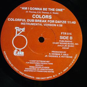 Back Cover Single Colors - Am I Gonna Be The One