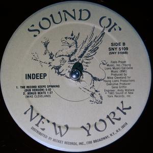 Back Cover Single Indeep - The Record Keeps Spinning