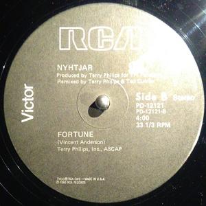 Back Cover Single Nyhtjar - Nice Girls Do It Too