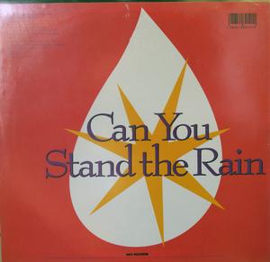 Back Cover Single New Edition - Can You Stand The Rain