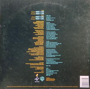 Back Cover Single Anthony And The Camp - What I Like