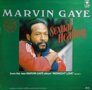 Back Cover Single Marvin Gaye - Sexual Healing