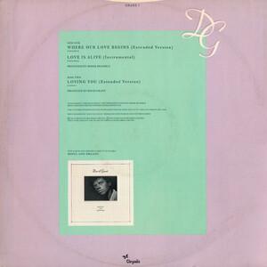 Back Cover Single David Grant - Where Our Love Begins