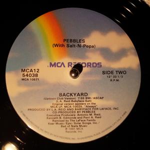 Back Cover Single Pebbles - Backyard