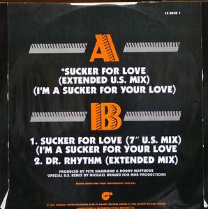 Back Cover Single B-biz-r - Sucker For Love