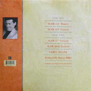 Back Cover Single David Sanborn - Slam