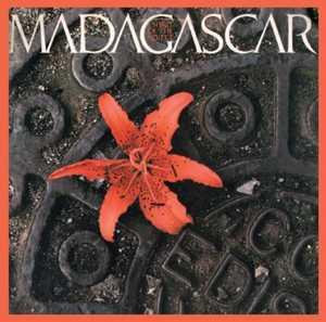 Madagascar - Spirit Of The Street