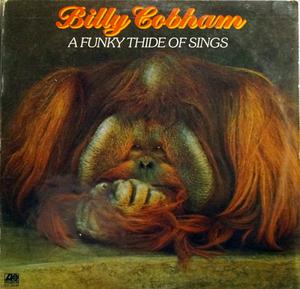 Billy Cobham - A Funky Thide Of Sings