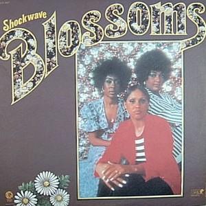 Album  Cover Blossoms - Shockwave on LION Records from 1972