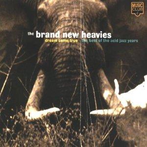 Album  Cover The Brand New Heavies - Dream Come True The Best Of The Acid Jazz Years on ACID JAZZ Records from 1998