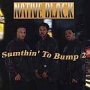 Album  Cover Native Black - Sumthin' To Bump 2 on BIZZY/WARLOCK Records from 2000