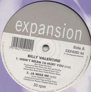 Album  Cover Billy Valentine - Didn't Mean To Hurt You Ep on EXPANSION / EXPAND 44 Records from 1994