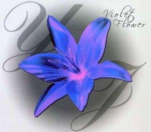 Front Cover Album Yolanda Johnson - Violet Flower
