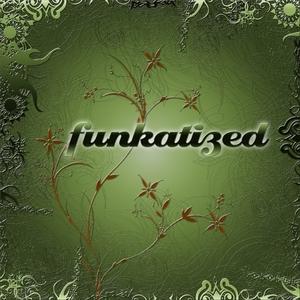 Front Cover Album Funkatized - Funkatized