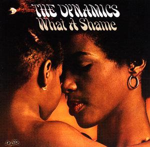 Album  Cover The Dynamics - What A Shame on DELITE Records from 1973