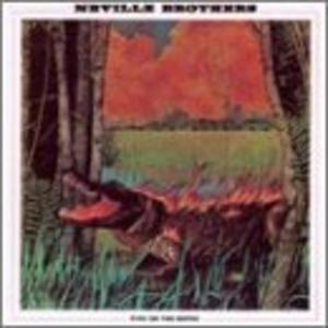 Album  Cover The Neville - Fiyo On The Bayou on A&M Records from 1981