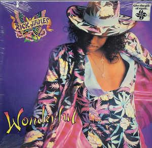 Album  Cover Rick James - Wonderful on REPRISE Records from 1988