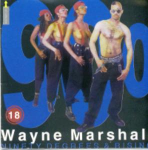 Album  Cover Wayne Marshall - Ninety Degrees & Rising on SOULTOWN Records from 1994