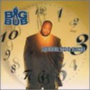 Album  Cover Big Bub - Never Too Late on FLAVOR UNIT Records from 2000