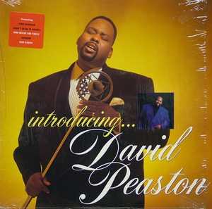Album  Cover David Peaston - Introducing David Peaston on GEFFEN Records from 1989