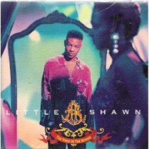 Album  Cover Little Shawn - The Voice In The Mirror on CAPITOL Records from 1992