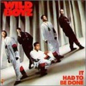 Album  Cover Wild Boyz - It Had To Be Done on  Records from 1989