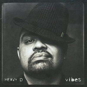 Front Cover Album Heavy D & The Boyz - Vibes