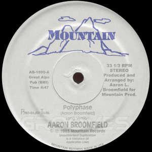 Front Cover Single Aaron Broomfield - Polyphase