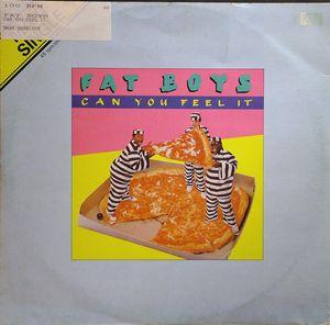 Front Cover Single Fat Boys - Can You Feel It