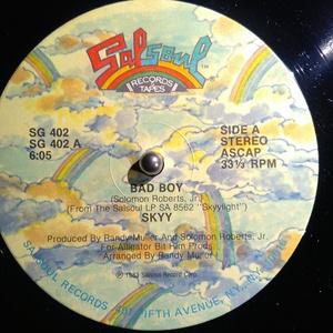 Front Cover Single Skyy - Bad Boy