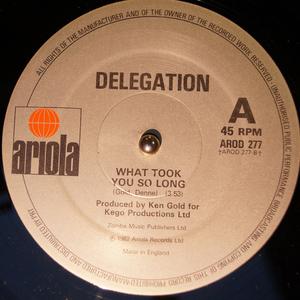 Front Cover Single Delegation - What Took You So Long