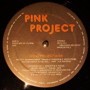 Front Cover Single Pink Project - Disco Project