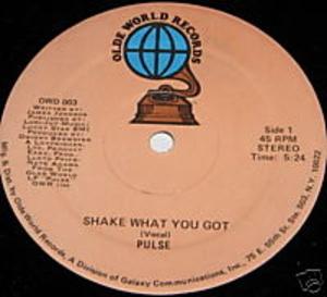 Front Cover Single Pulse - Shake What You Got