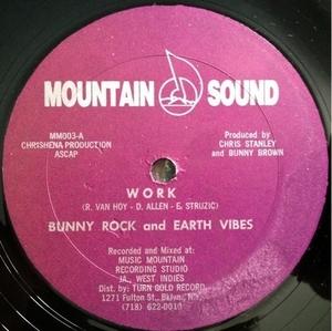 Front Cover Single Bunny Rock And Earth Vibes - Work